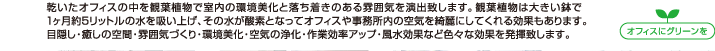 乾いたオフィスの中を観葉植物で室内の環境美化と落ち着きのある雰囲気を演出致します。観葉植物は大きい鉢で１ヶ月約5リットルの水を吸い上げ、その水が酸素となってオフィスや事務所内の空気を綺麗にしてくれる効果もあります。目隠し・癒しの空間・雰囲気づくり・環境美化・空気の浄化・作業効率アップ・風水効果など色々な効果を発揮致します。